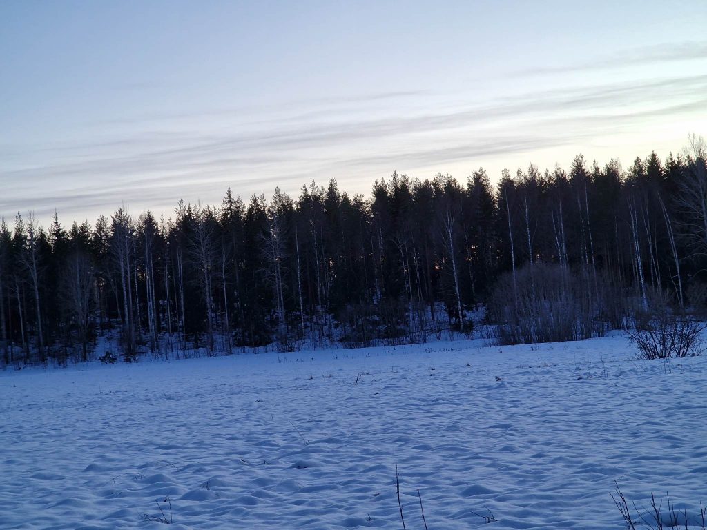 Snötäckt åker i skymningen.