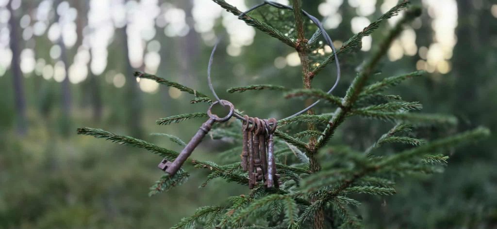 En nyckelknippa som hänger på en gran i skogen