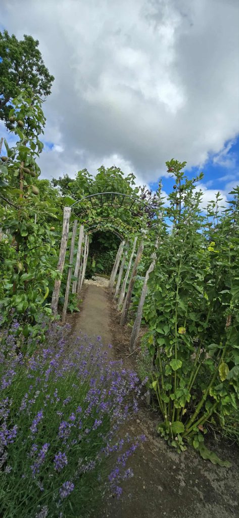 En av alla underbara gångar som de har byggt på Djupadal med blommor och växter klättrande över gångarna.