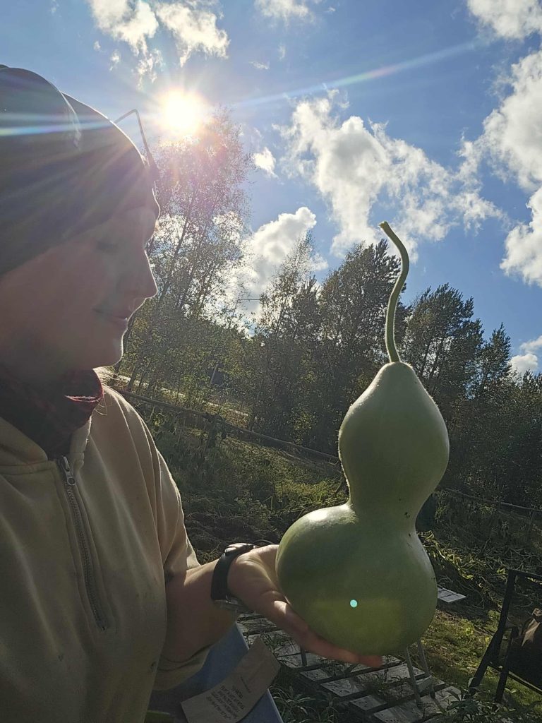Jag, Sara, med en av alla pumpor som vi skördade.