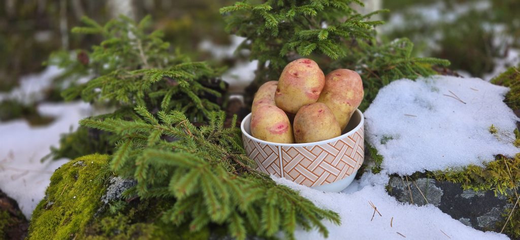 Kung Edward i en skål ute på en sten i snön