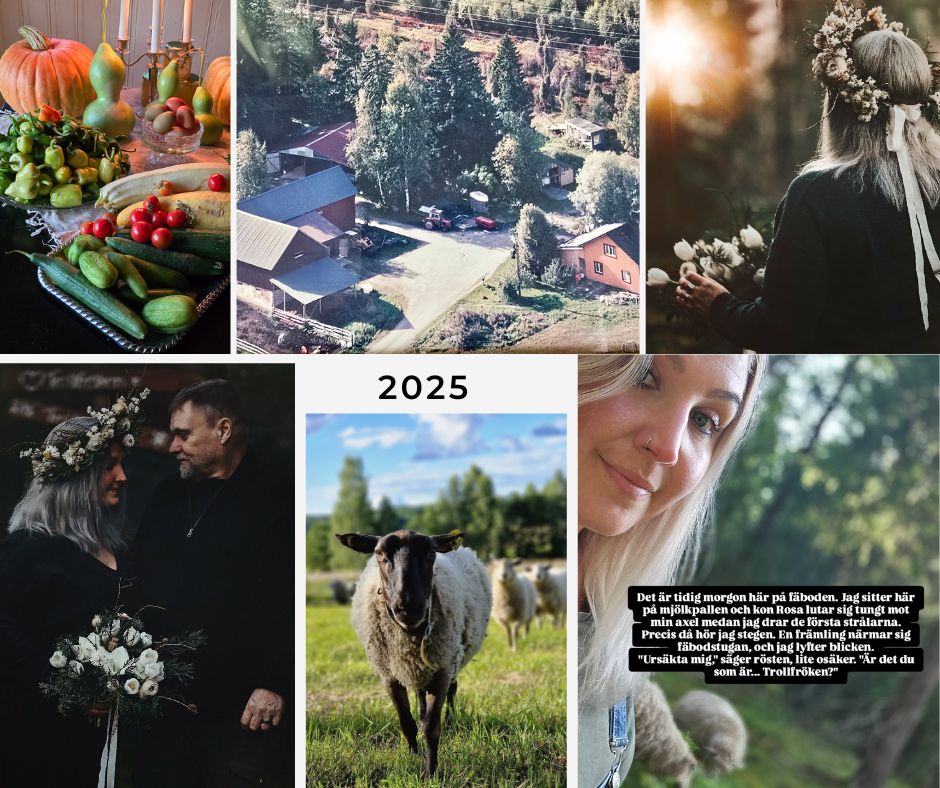 Ett kollage med bilder fårn bröllopet, en översikts bild över gården, en söt får som springer mot kameran och ett bord fylld med grönsaker. Däribland gurkor, för dig som har saknat mängden gurkor. 