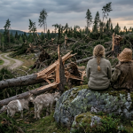 Två barn sitter på en sten och tittar ut mot den förstörda skogen efter skogsvägen. Det ser ut som skogen har blivit förstörd av en storm.